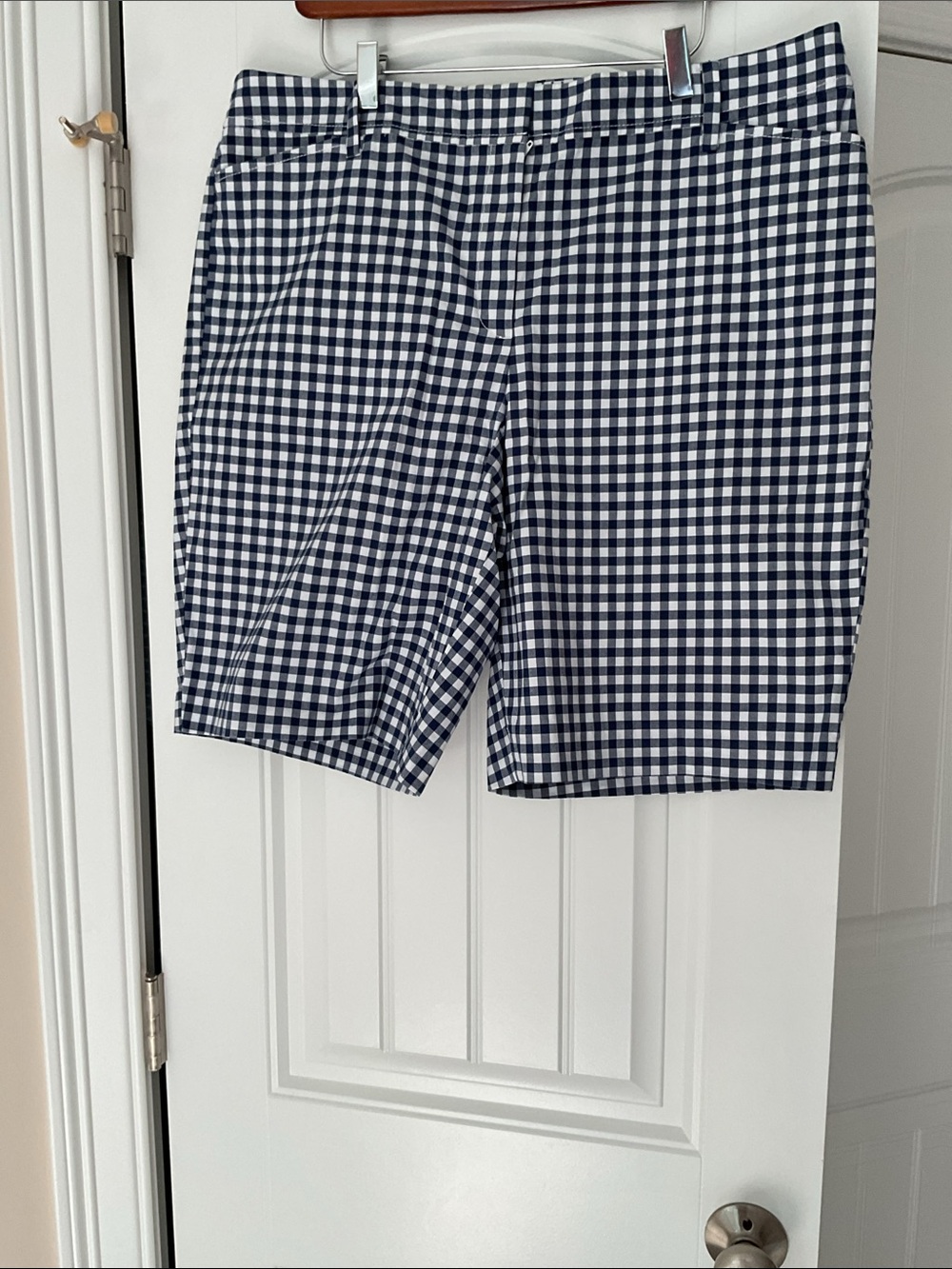 Talbots Blue and White Gingham Shorts